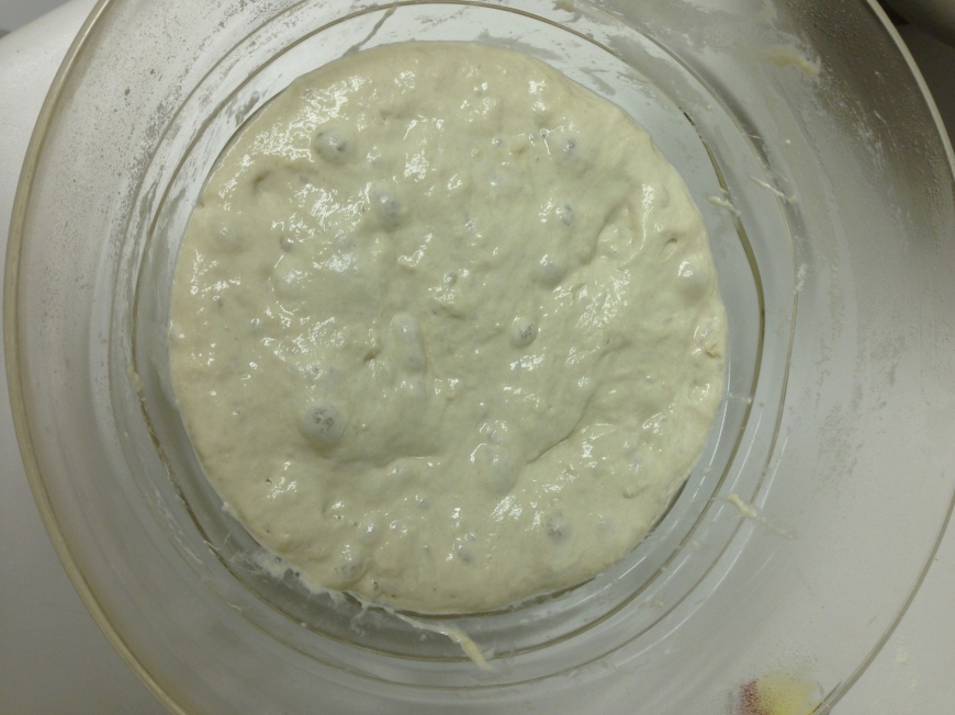 Starter phase 1, before the additional flour is added. 