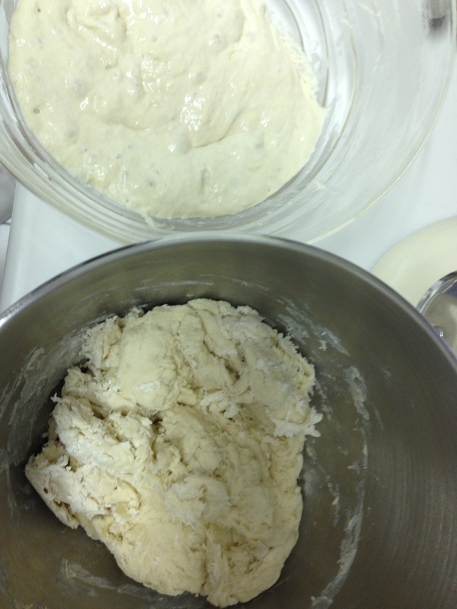 Bread dough is reading for the starter to be added.